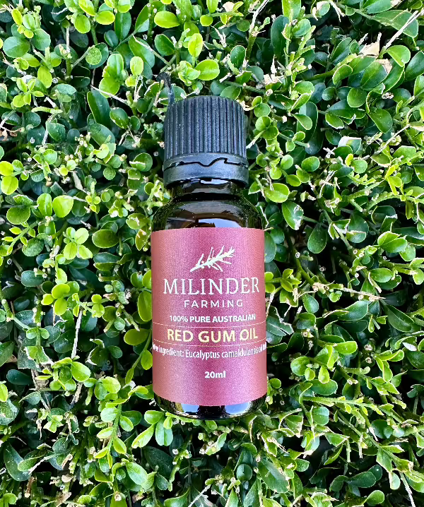 Pure Australian Red Gum Oil