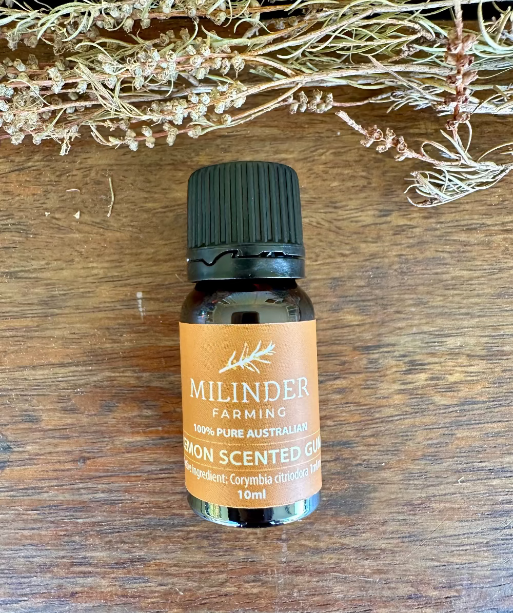 Pure Australian Lemon Scented Gum Essential Oil