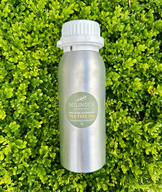 1L Pure Tea Tree Oil 100%