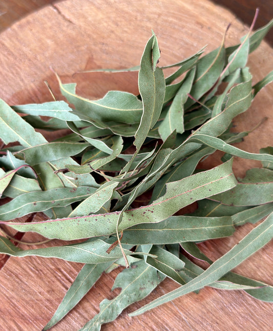 Dried Australian Eucalyptus Leaves