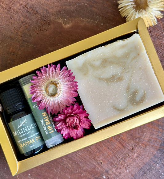 Gift Pack - Alex